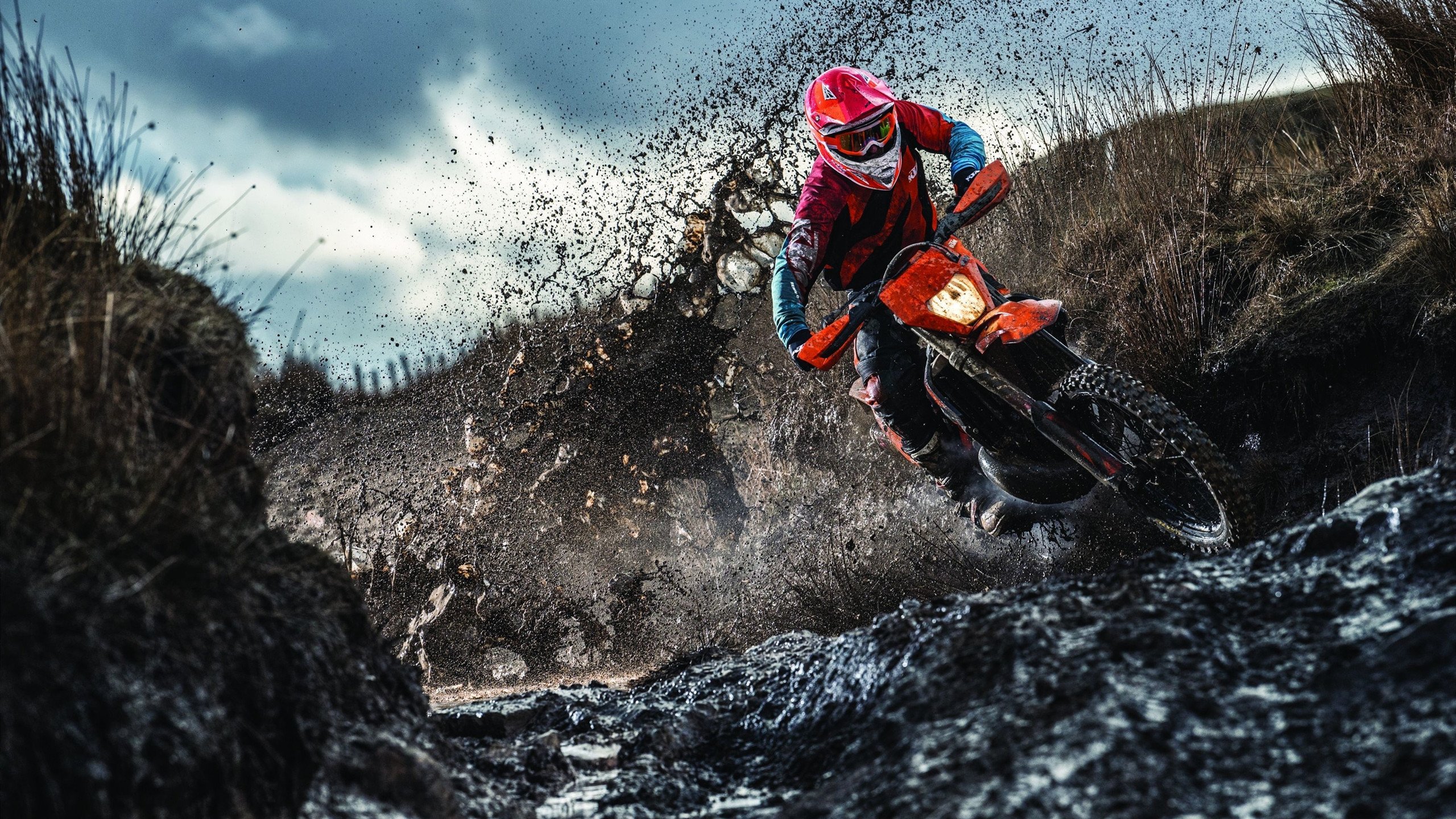 绝杀与统治,当瑞典足球的坚韧遇见乒乓王者的掌控